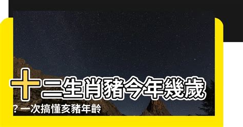 屬豬虛歲幾歲|屬豬今年幾歲 豬年是民國西元哪幾年